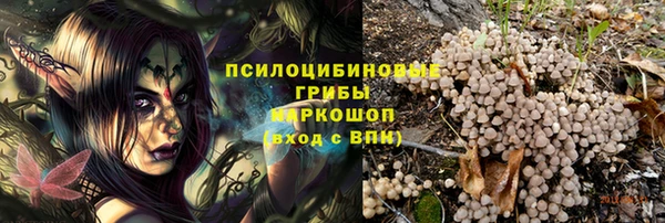 дурь Тобольск