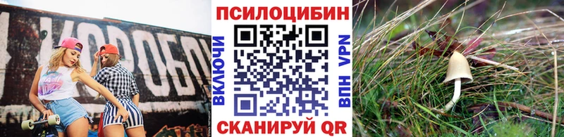магазин продажи наркотиков  Лакинск  Галлюциногенные грибы мицелий 